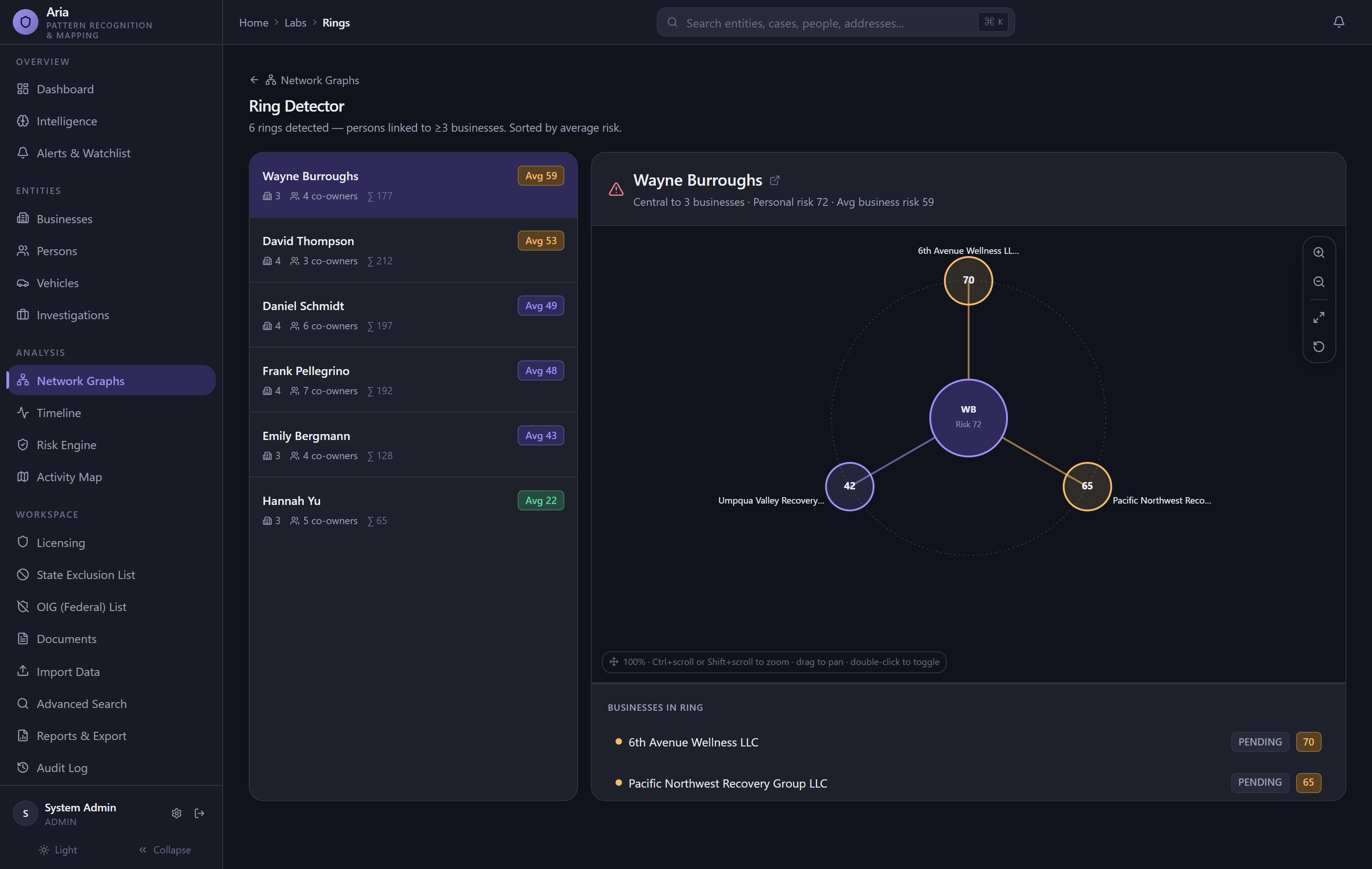 Aria ring detector identifying coordinated ownership clusters